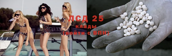 винт Алзамай