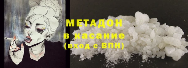 прущие грибы Абинск