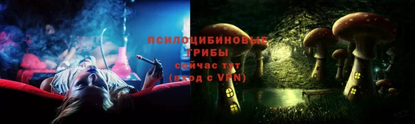 винт Алзамай