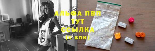 гидра Абаза