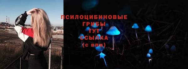 винт Алзамай