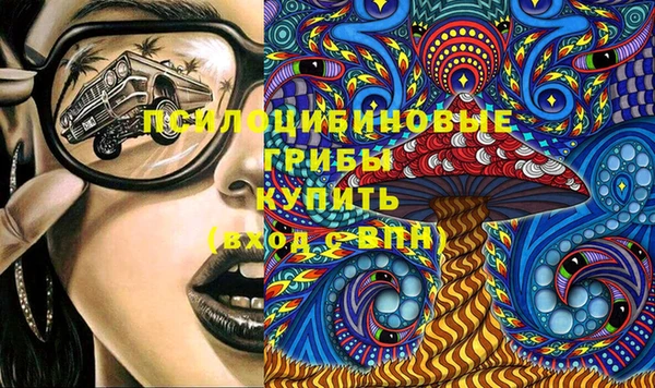 прущие грибы Абинск