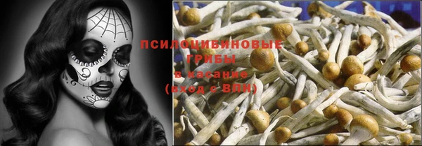винт Алзамай