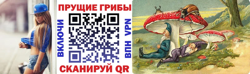 Галлюциногенные грибы Cubensis  закладки  блэк спрут как войти  Змеиногорск 
