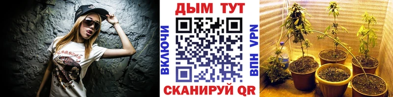 Шишки марихуана LSD WEED наркотики Змеиногорск